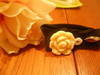 Small_full_dscn3475_1310983375