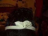 How To Make A Wire Headband