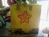 The Star Bag
