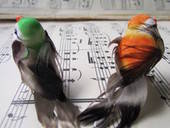 Bird Hair Clips