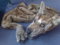 Games Day Project Pelt Update