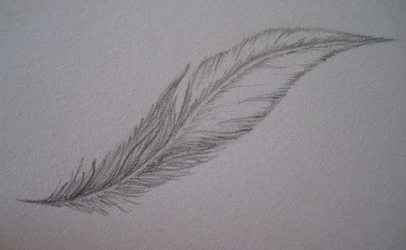 Wanna Draw  A Feather?