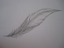 Wanna Draw  A Feather?