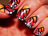 Small_dsc_0488