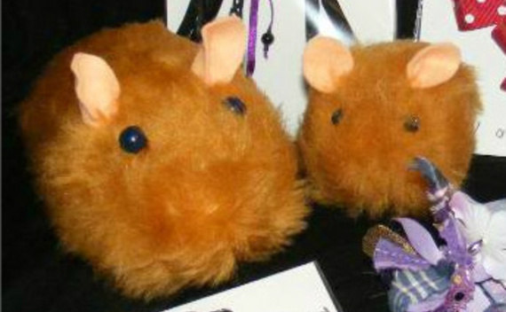 Furry Guinea Pigs!