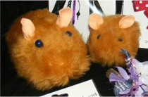 Furry Guinea Pigs!
