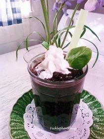 Spinach Berry Smoothies