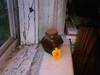 Small_full_photo_21_1220825331