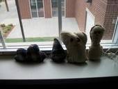 Plush Roommates