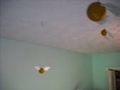 Golden Snitch Decorations