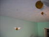 Small_full_snitchdecor_005_1313425671