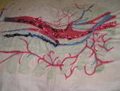 Blood Veins