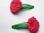 Brain Hairgrips