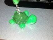 Mr Turtle