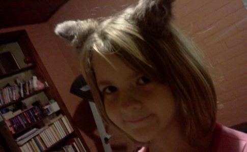 Cat Ears