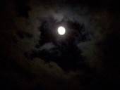 Eerie Night