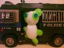 Small Green Panda Plush