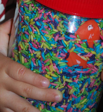 Ispy Sensory Jar
