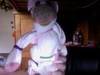 Small_full_sockkoala_1314880373