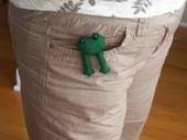 Pocket Pal Frog Plushie