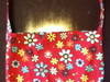 Small_full_img_0529_1315257501