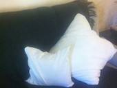 Second Cushion