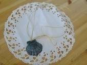 Seashell Necklace