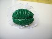 Brain Ring