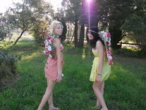 Fairy Costumes 