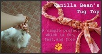 Diy Tug Toy For Vanilla Bean