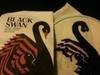Small_full_black_swan_embroidery_1317179138
