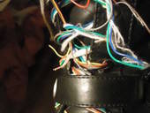 New Shoelaces