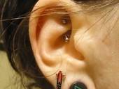 Fancy New Plugs