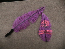 Fake Feathers With A Back Bone