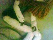 Hayley Williams Doll