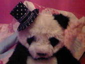Mini Hat