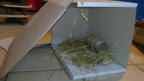 Rodents Camp
