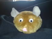 Furry Guinea Pigs!