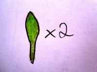 Step 5