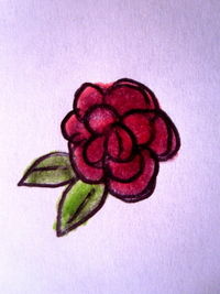 Step 7