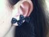 Small_full_photo__4__1318444779