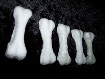 Lovely Ivory Bones Soap