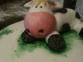 Cute Cow Cake