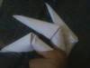 Small_full_295824_294421730585397_100000527164208_1150934_1614270485_n_1319148075