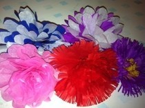 Tissue Paper Flowers