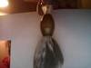 Small_full_picture_033_1319712416