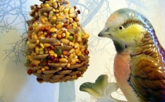 Pine Cone Bird Feeder