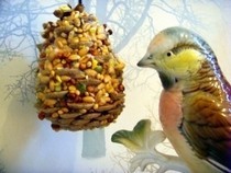 Pine Cone Bird Feeder