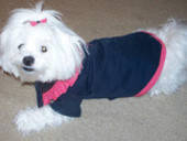 The "Minnie" Coat