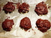 Homemade Bounty